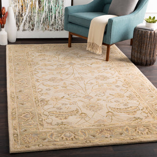 Surya Caesar CAE-1114 Area Rug Room Scene Featured