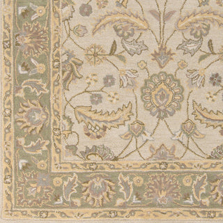 Surya Caesar CAE-1114 Beige Hand Tufted Area Rug Sample Swatch