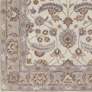 Surya Caesar CAE-1115 Ivory Hand Tufted Area Rug Sample Swatch