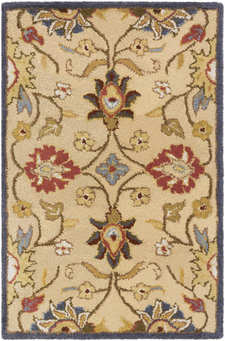 Surya Caesar CAE-1116 Area Rug 2'x3' Size 