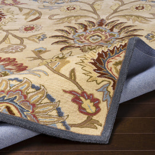 Surya Caesar CAE-1116 Area Rug Rolled 