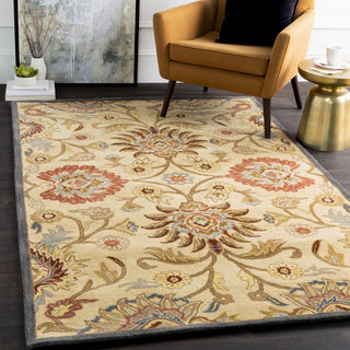 Surya Caesar CAE-1116 Area Rug Room Scene Featured 