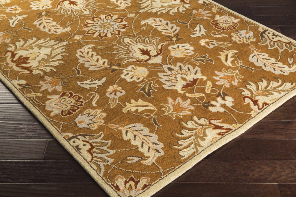 Surya Caesar CAE-1117 Area Rug 5x8 Corner Feature