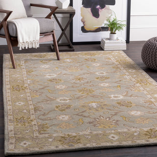 Surya Caesar CAE-1126 Area Rug Room Scene