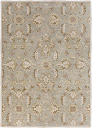 Surya Caesar CAE-1140 Moss Area Rug 8' x 11'