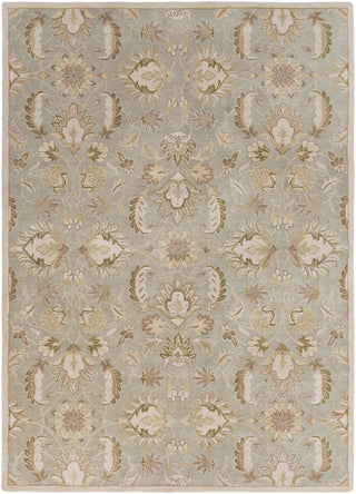 Surya Caesar CAE-1140 Area Rug