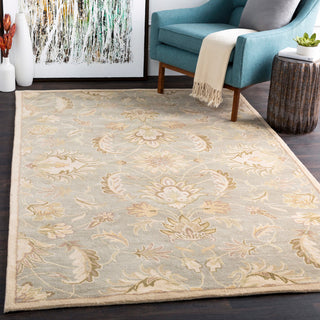 Surya Caesar CAE-1140 Area Rug Room Scene Feature