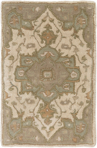 Surya Caesar CAE-1143 Area Rug 2' x 3'