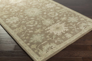 Livabliss Caesar CAE-1149 Area Rug 5x8 Corner Feature