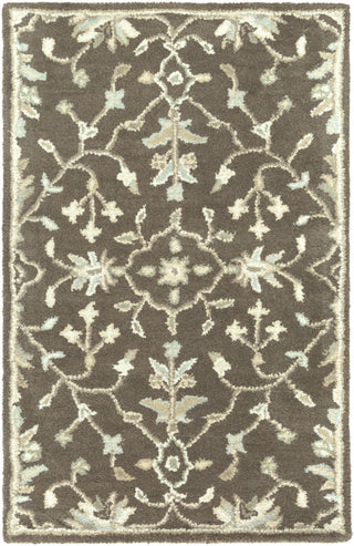 Surya Caesar CAE-1150 Area Rug 2' x 3'