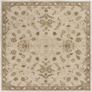 Surya Caesar CAE-1152 Area Rug 8' Square