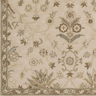 Surya Caesar CAE-1152 Khaki Hand Tufted Area Rug Sample Swatch