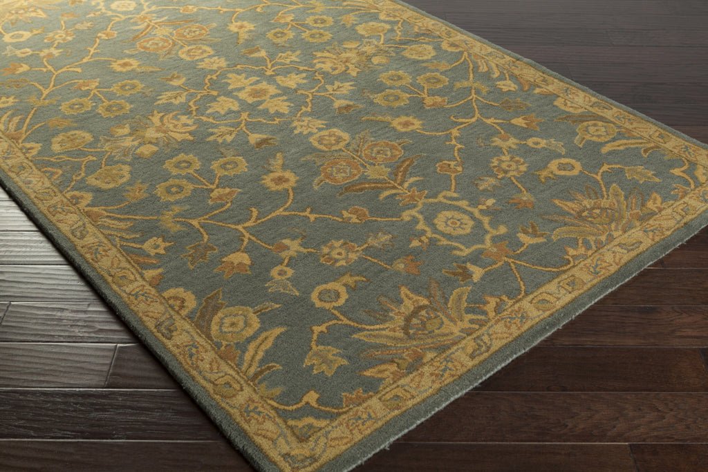 Surya Caesar CAE-1153 Area Rug – Incredible Rugs and Decor