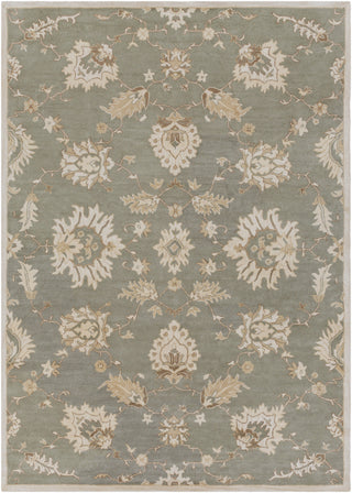 Surya Caesar CAE-1156 Area Rug 8' x 11'