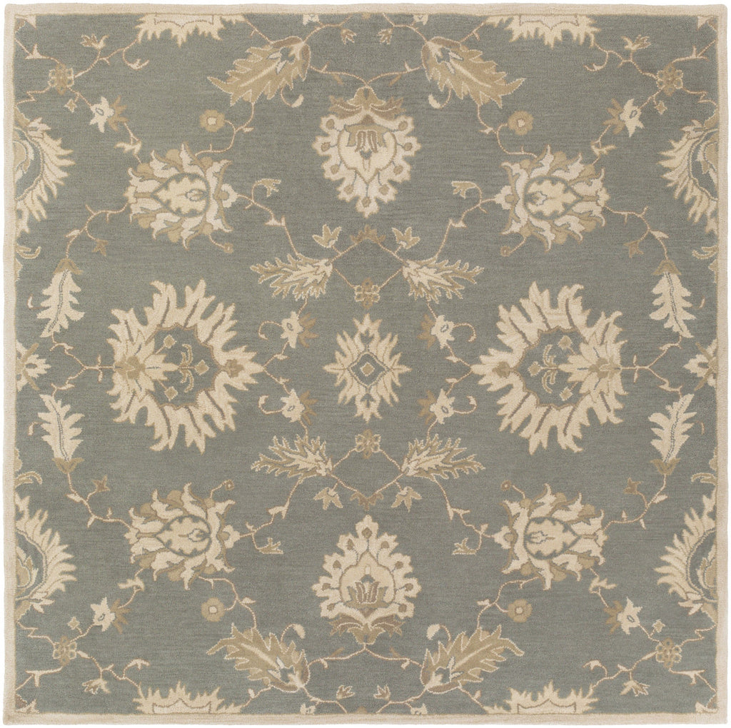 Surya Caesar CAE-1156 Area Rug – Incredible Rugs and Decor
