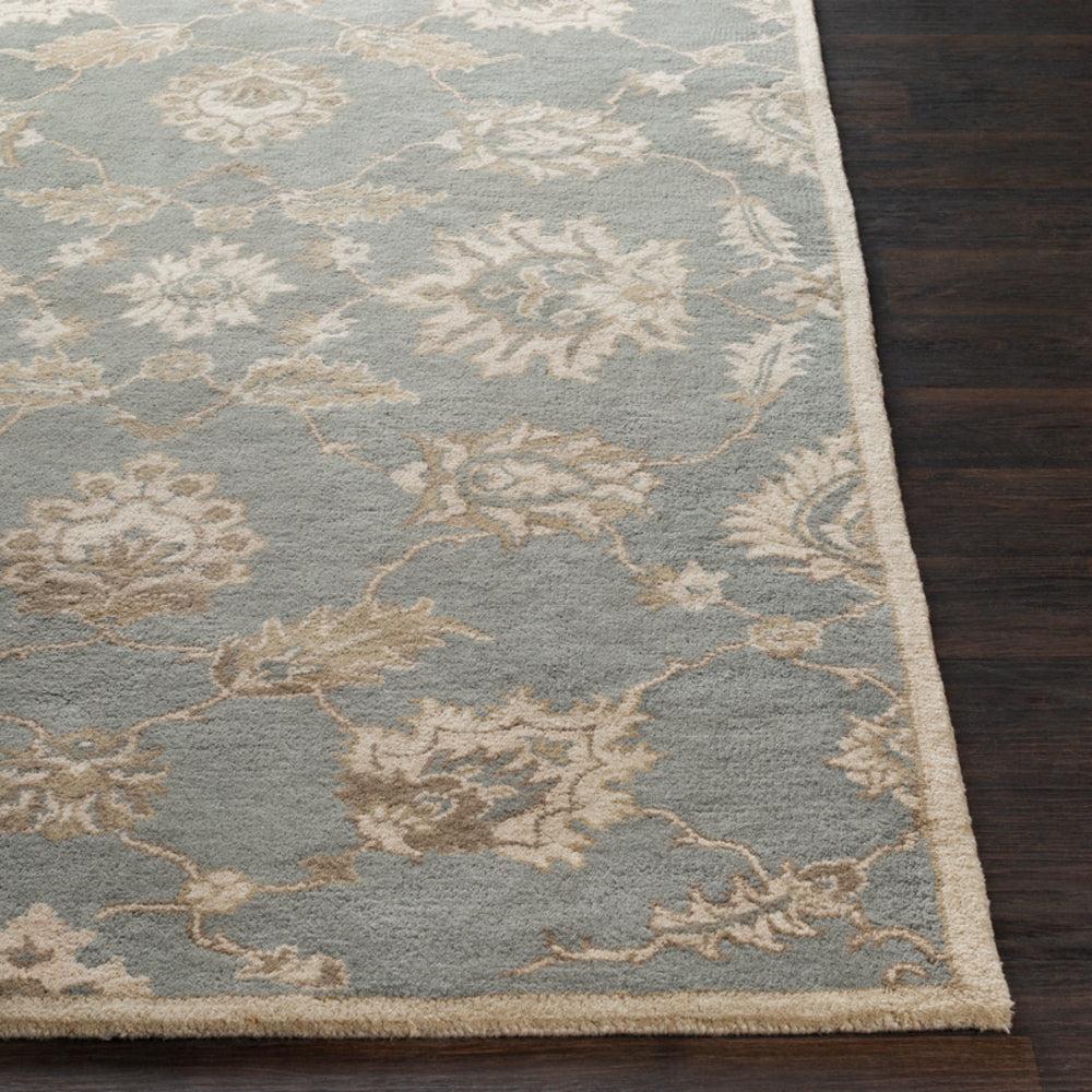 Surya Caesar CAE-1156 Area Rug – Incredible Rugs and Decor