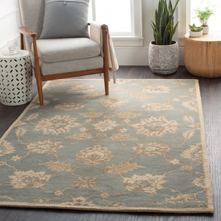 Surya Caesar CAE-1156 Area Rug Room Scene Featured