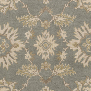 Surya Caesar CAE-1156 Medium Gray Hand Tufted Area Rug Sample Swatch