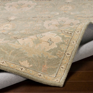 Surya Caesar CAE-1160 Area Rug 