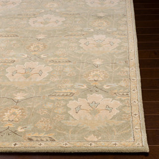 Surya Caesar CAE-1160 Area Rug 