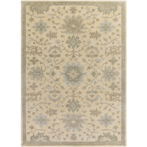 Livabliss Caesar CAE-1161 Area Rug
