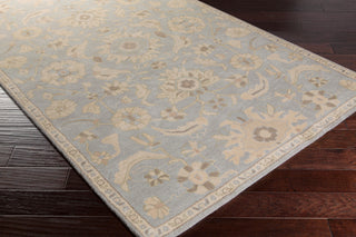 Surya Caesar CAE-1162 Area Rug Corner Shot