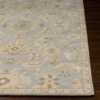 Surya Caesar CAE-1162 Area Rug 