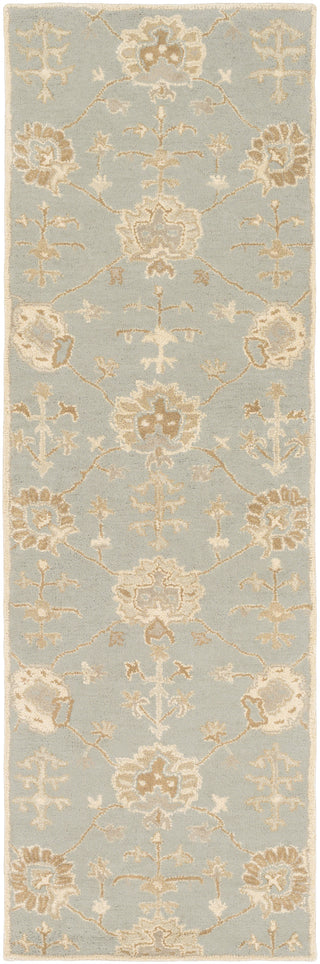 Surya Caesar CAE-1163 Sage Area Rug 2'6'' X 8' Runner