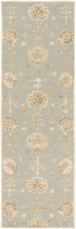 Surya Caesar CAE-1163 Area Rug