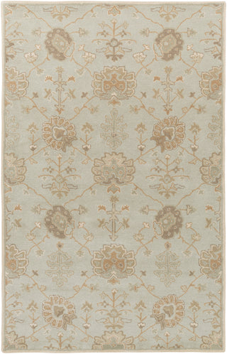 Surya Caesar CAE-1163 Area Rug 5' x 8'