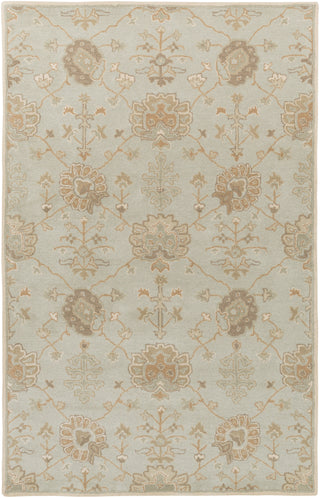 Surya Caesar CAE-1163 Area Rug