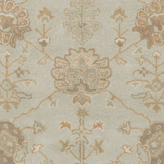 Surya Caesar CAE-1163 Sage Hand Tufted Area Rug Sample Swatch