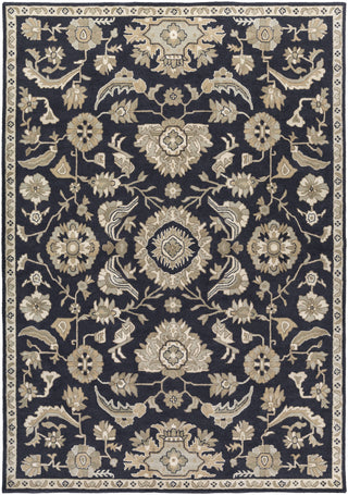 Surya Caesar CAE-1164 Area Rug Main Image 8'x11' Size 