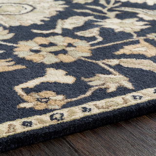 Surya Caesar CAE-1164 Area Rug Texture 