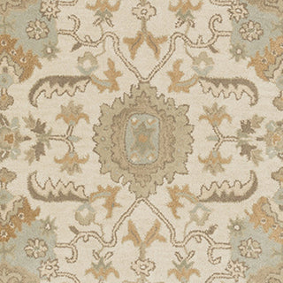 Surya Caesar CAE-1166 Beige Hand Tufted Area Rug Sample Swatch