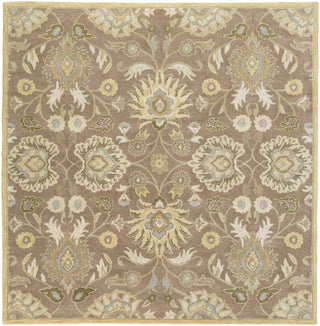 Surya Caesar CAE-1167 Camel Area Rug 8' Square