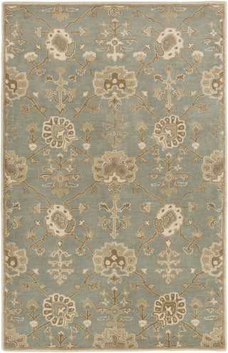 Surya Caesar CAE-1170 Area Rug 5' x 8'