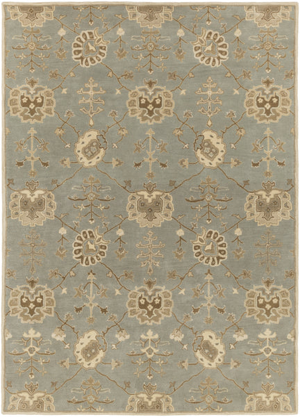 Surya Caesar CAE-1170 Area Rug – Incredible Rugs and Decor