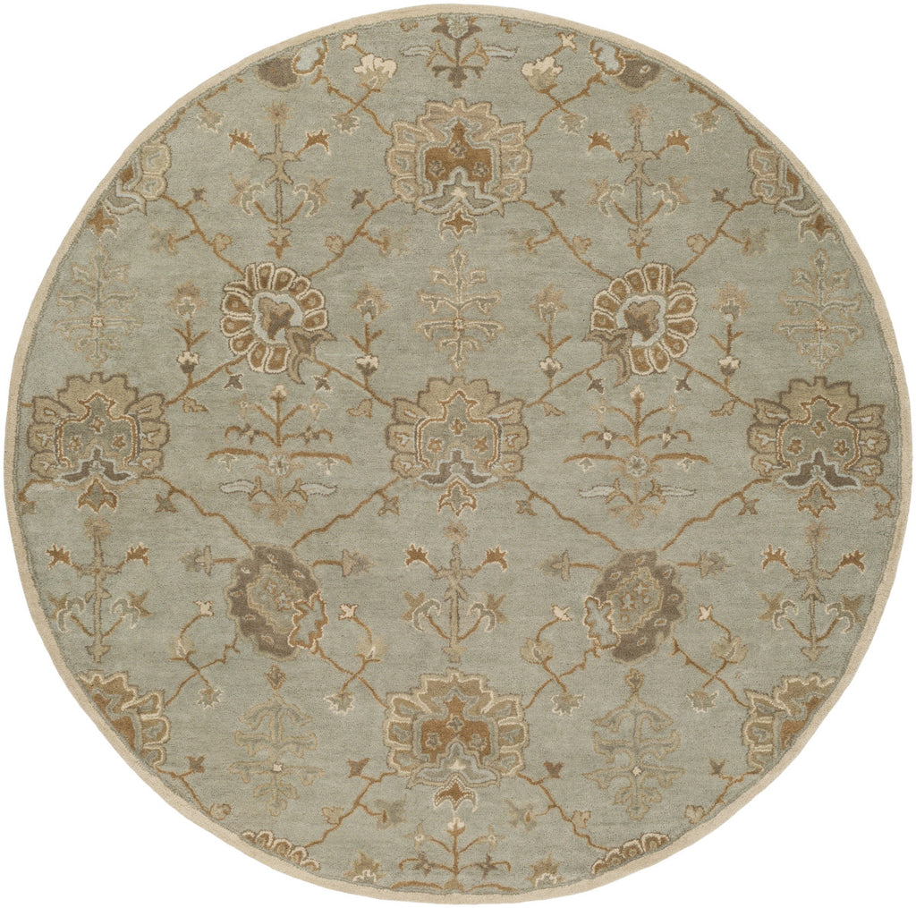 Surya Caesar CAE-1170 Area Rug – Incredible Rugs and Decor