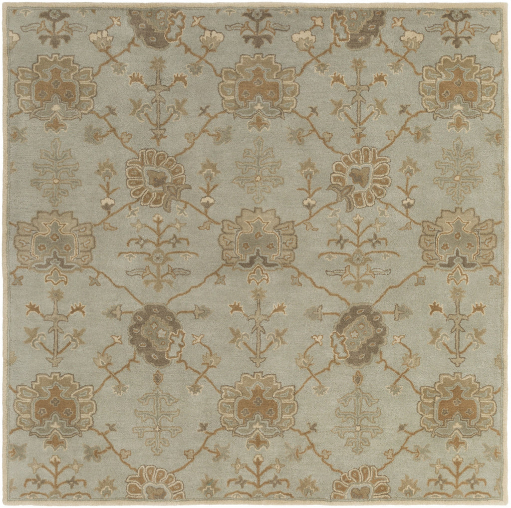 Surya Caesar CAE-1170 Area Rug – Incredible Rugs and Decor