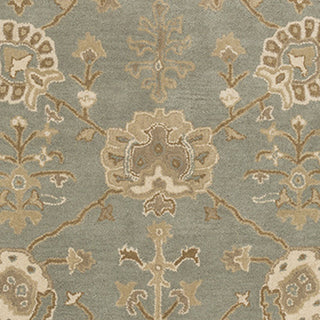 Surya Caesar CAE-1170 Taupe Hand Tufted Area Rug Sample Swatch