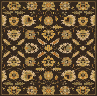 Caesar CAE-1184 Brown Area Rug by Surya 8' Square