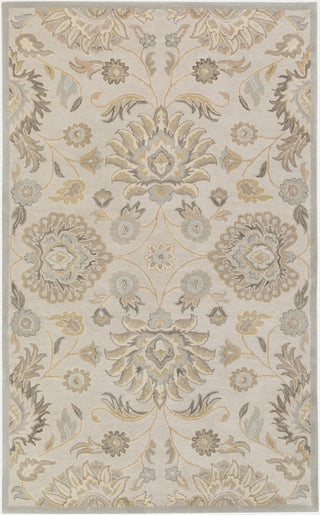 Surya Caesar CAE-1192 Area Rug main image