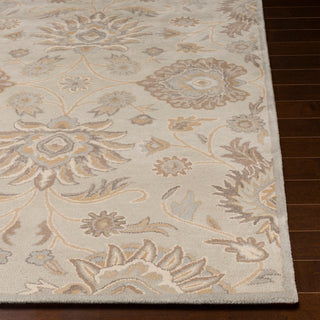 Surya Caesar CAE-1192 Area Rug 