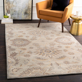 Surya Caesar CAE-1192 Area Rug Room Scene Feature