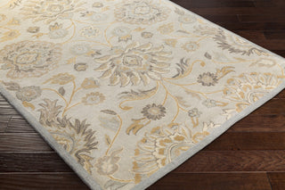 Surya Caesar CAE-1192 Area Rug Closeup