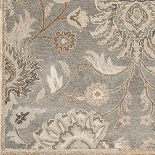 Surya Caesar CAE-1195 Area Rug Swatch