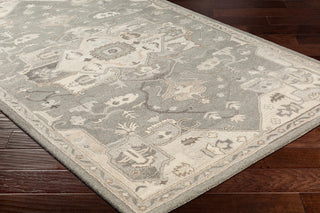 Surya Caesar CAE-1196 Area Rug on Wood 