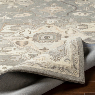 Surya Caesar CAE-1196 Area Rug Rolled