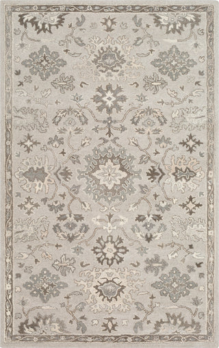 Surya Caesar CAE-1197 Area Rug main image